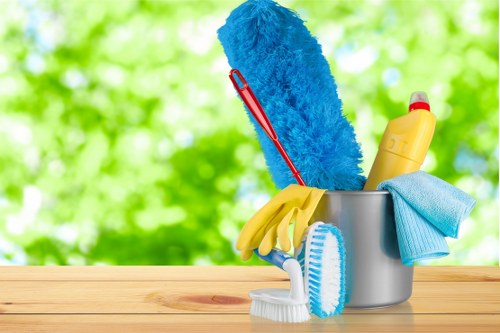 Professional cleaner working in a Balham home