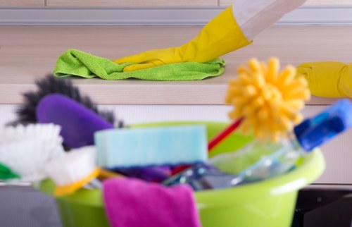 Balham Cleaners team providing professional cleaning in a home environment
