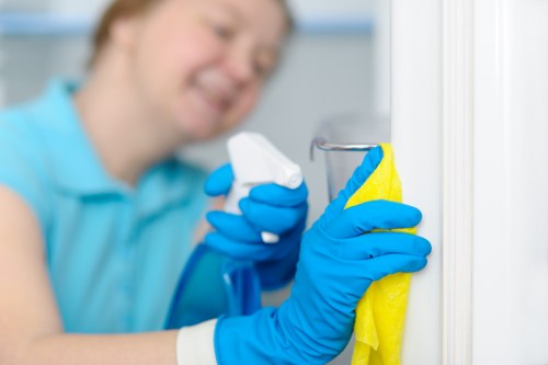 Domestic cleaner tidying a Balham household living room