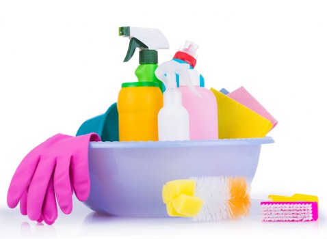 Professional cleaner in Balham working in a bright home