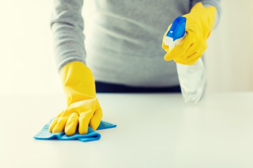 Deep oven cleaning service removing grease and residue