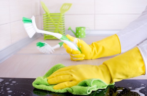 Detailed bathroom deep cleaning service in Balham
