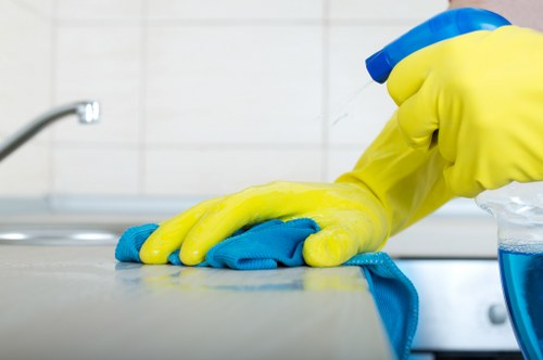 Final step in a professional complaints procedure