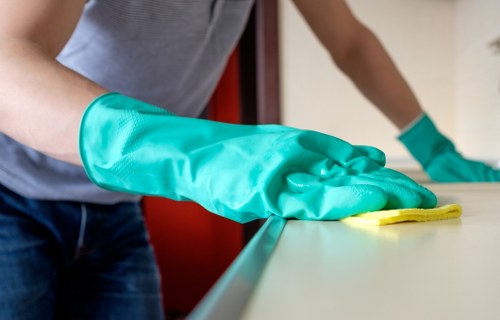 Carpet cleaning equipment used for deep cleaning in Balham home
