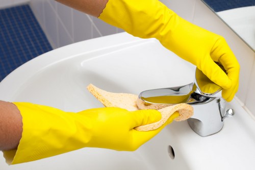 Balham Cleaners delivering consistent and professional cleaning support